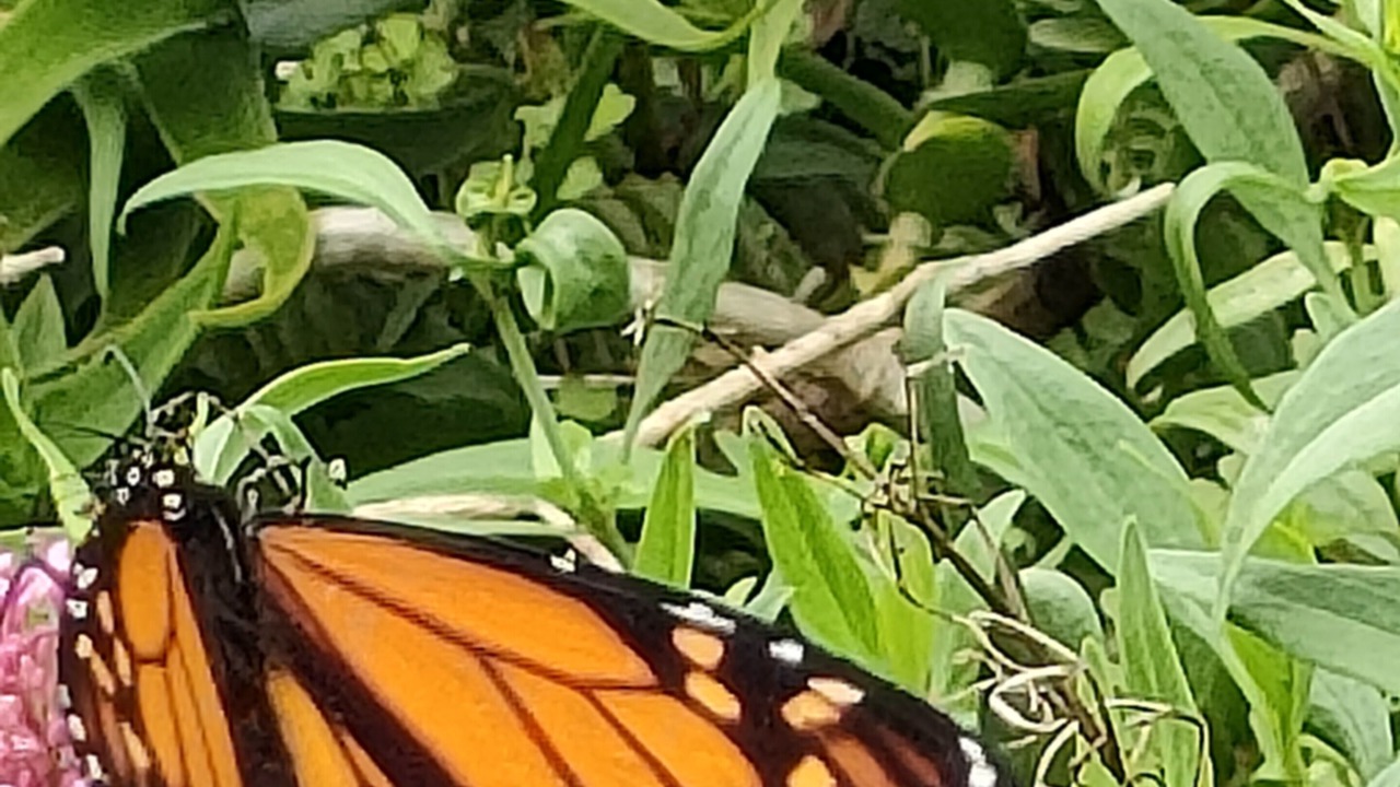 Photo of Outdoor in Tutukaka