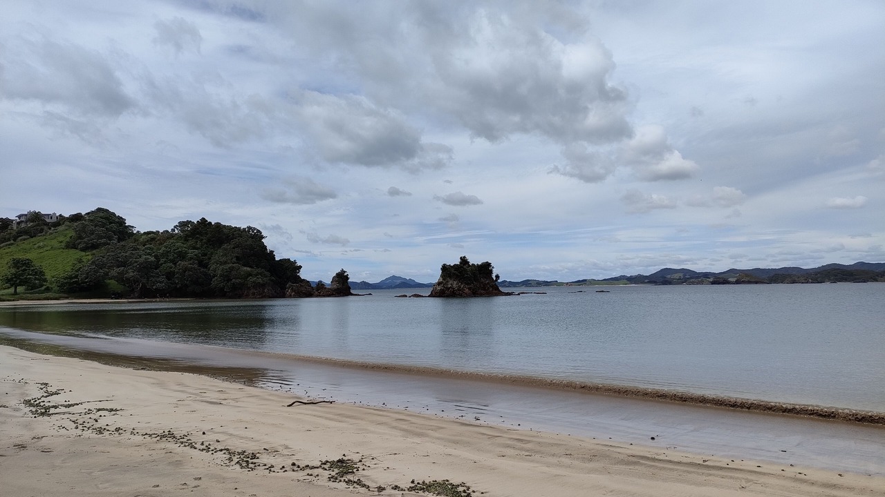 Photo of Others in Tutukaka