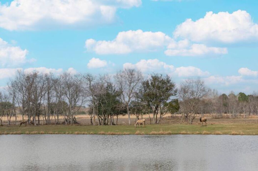 Photo of Outdoor in Winnie