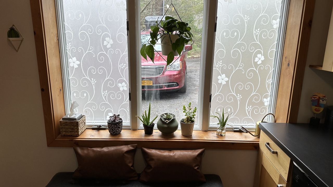 Photo of Others in Canadensis