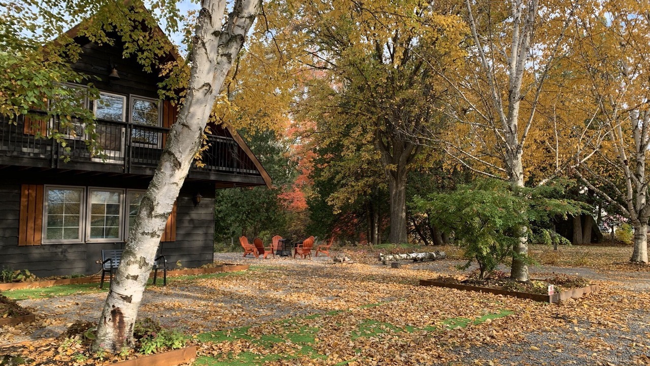 Photo of Outdoor in Ramara