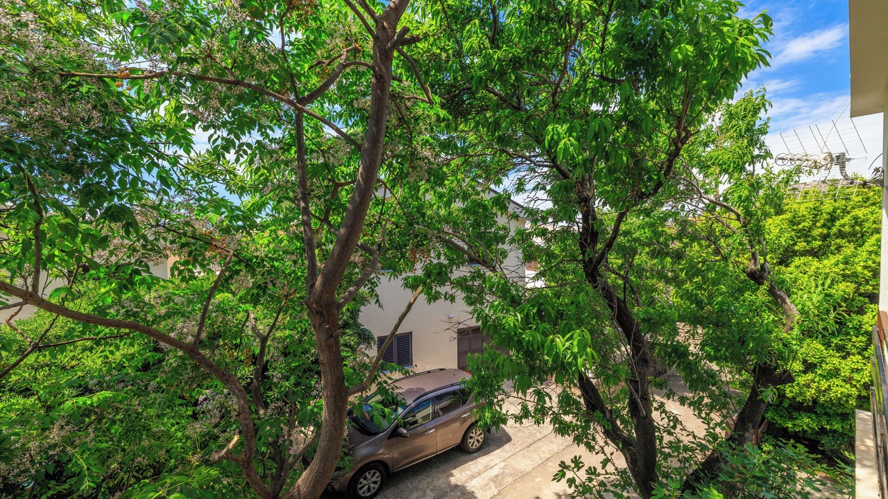 Photo of Outdoor in Ribarica