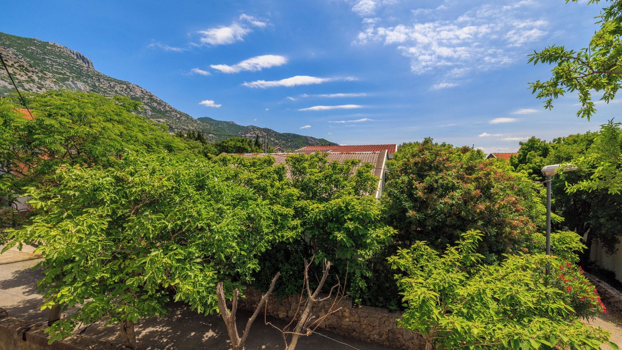 Photo of Outdoor in Ribarica