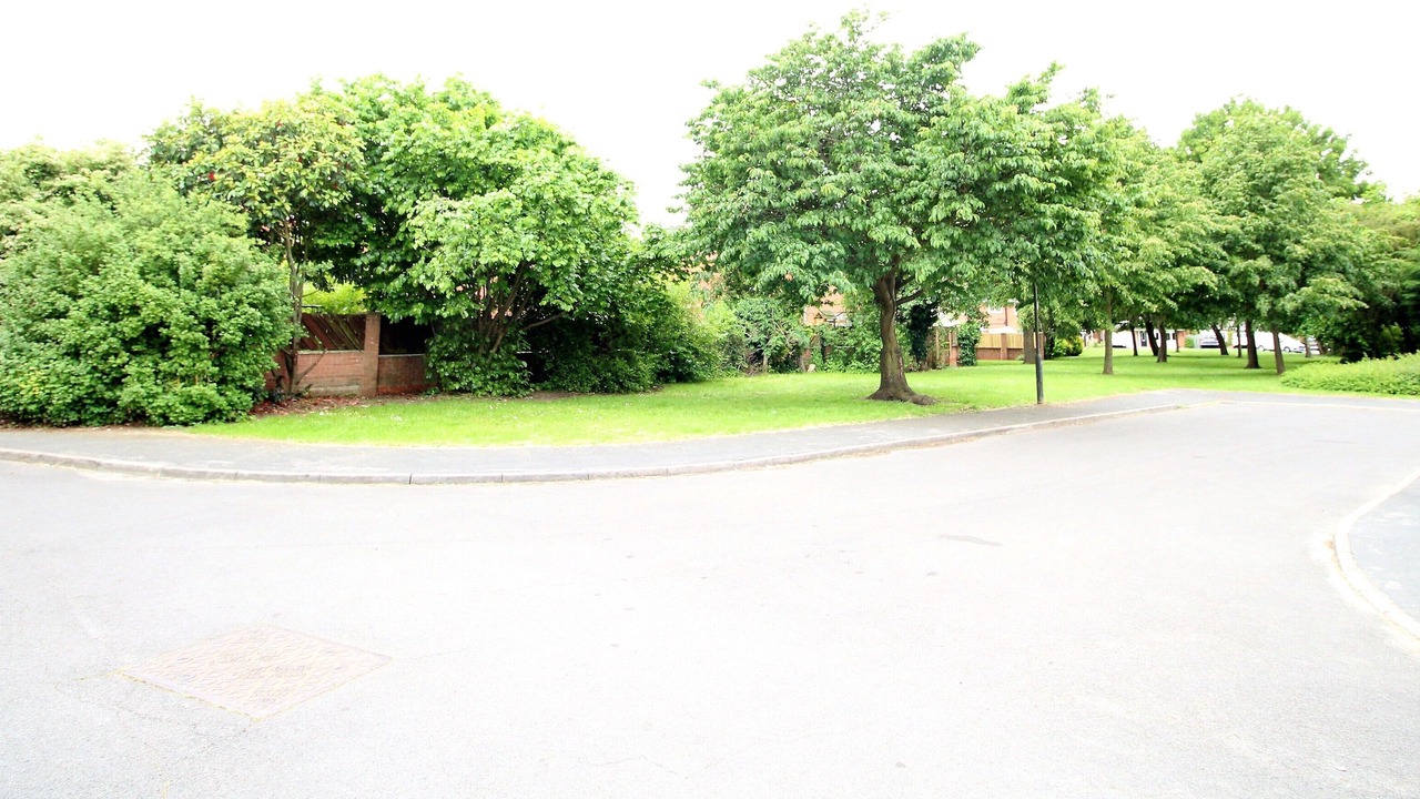 Photo of Others in Warmsworth