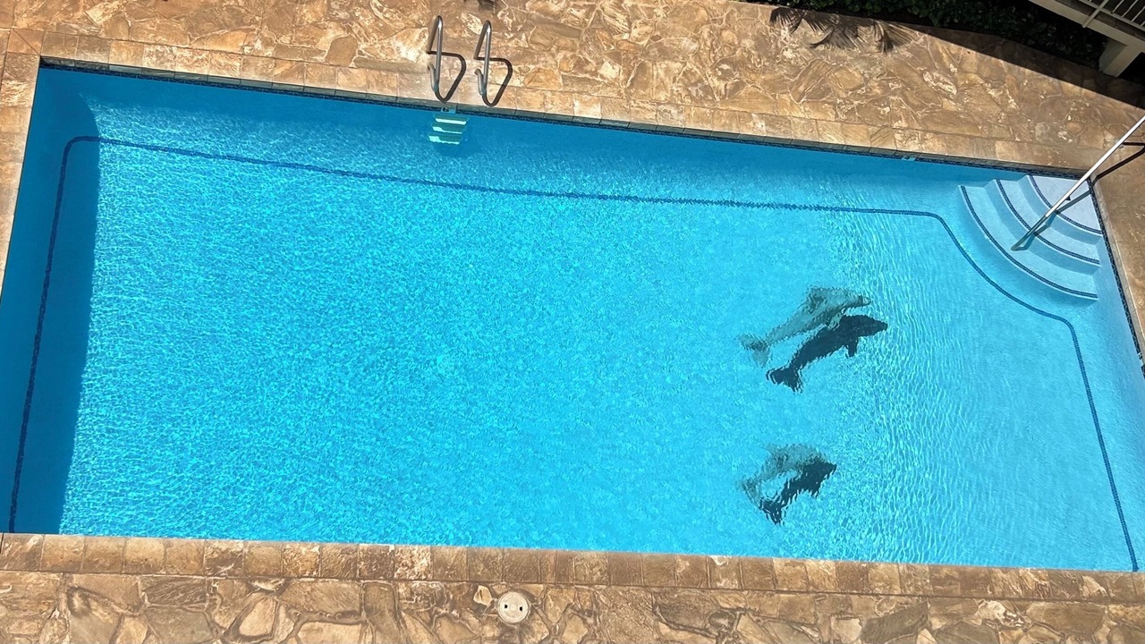 Photo of Outdoor in Makaha