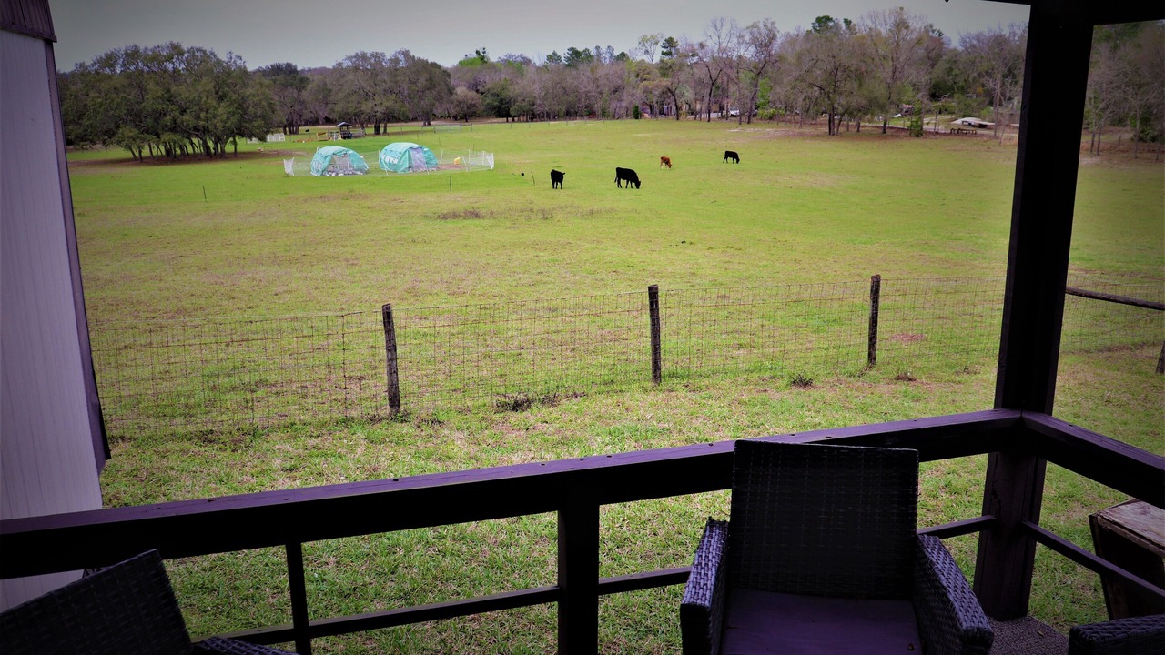 Photo of Outdoor in Sugarmill Woods