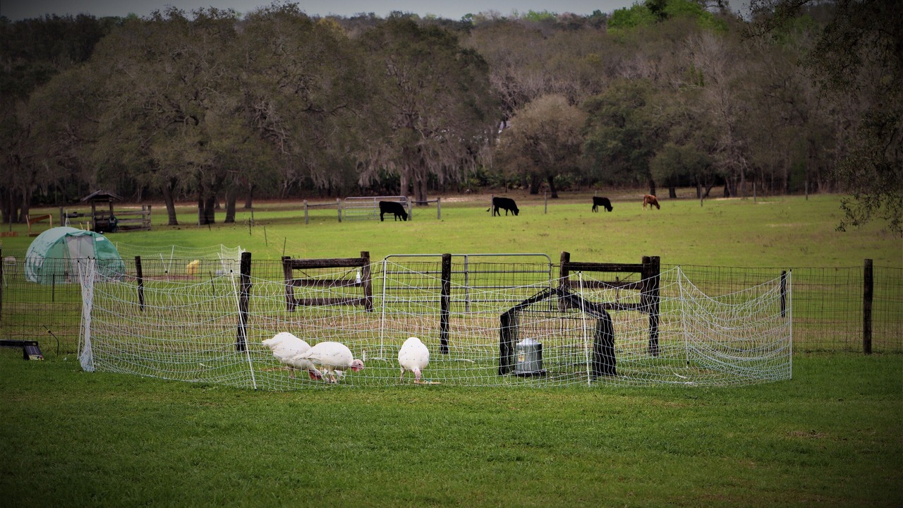 Photo of Others in Sugarmill Woods
