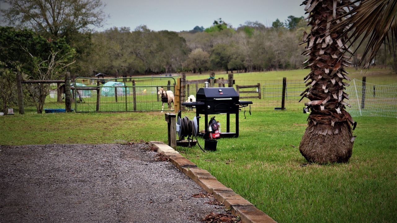 Photo of Outdoor in Sugarmill Woods