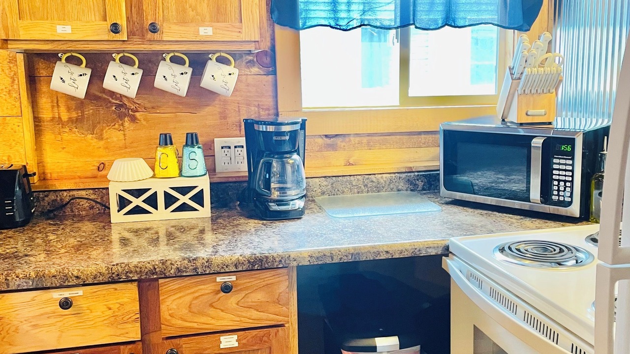 Photo of Kitchen in Carp Lake