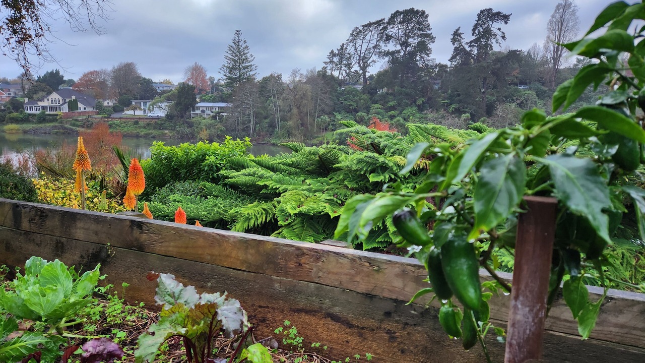 Photo of Outdoor in Claudelands
