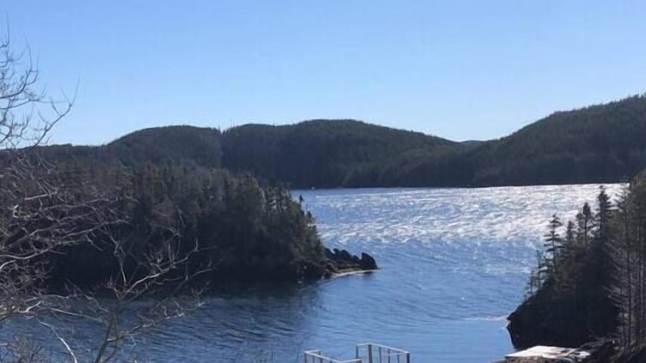 Photo of Outdoor in Newfoundland