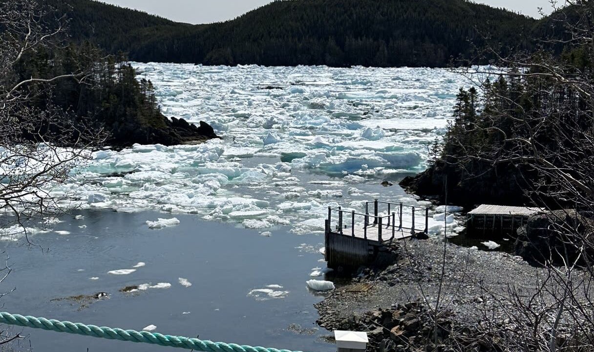 Photo of Outdoor in Newfoundland