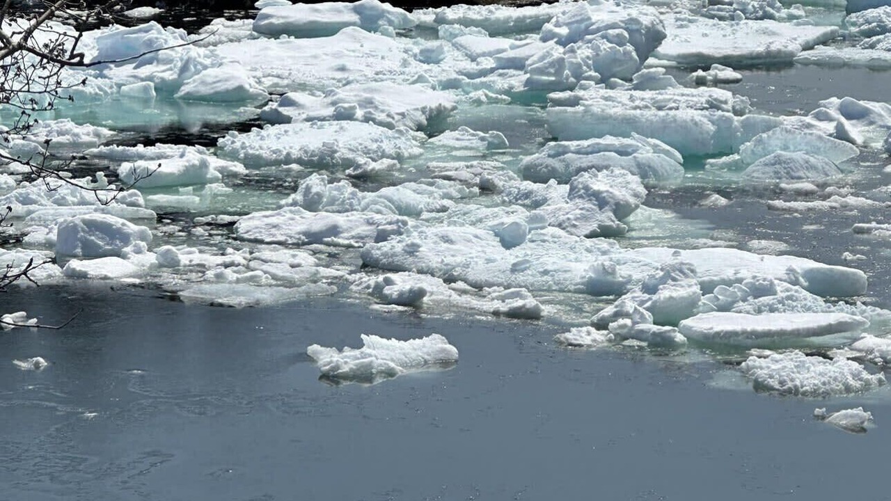 Photo of Outdoor in Newfoundland