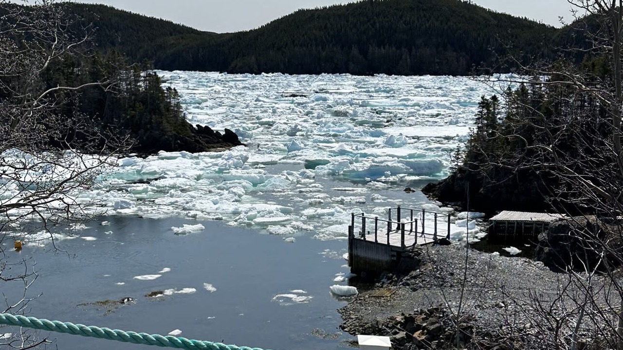 Photo of Outdoor in Newfoundland