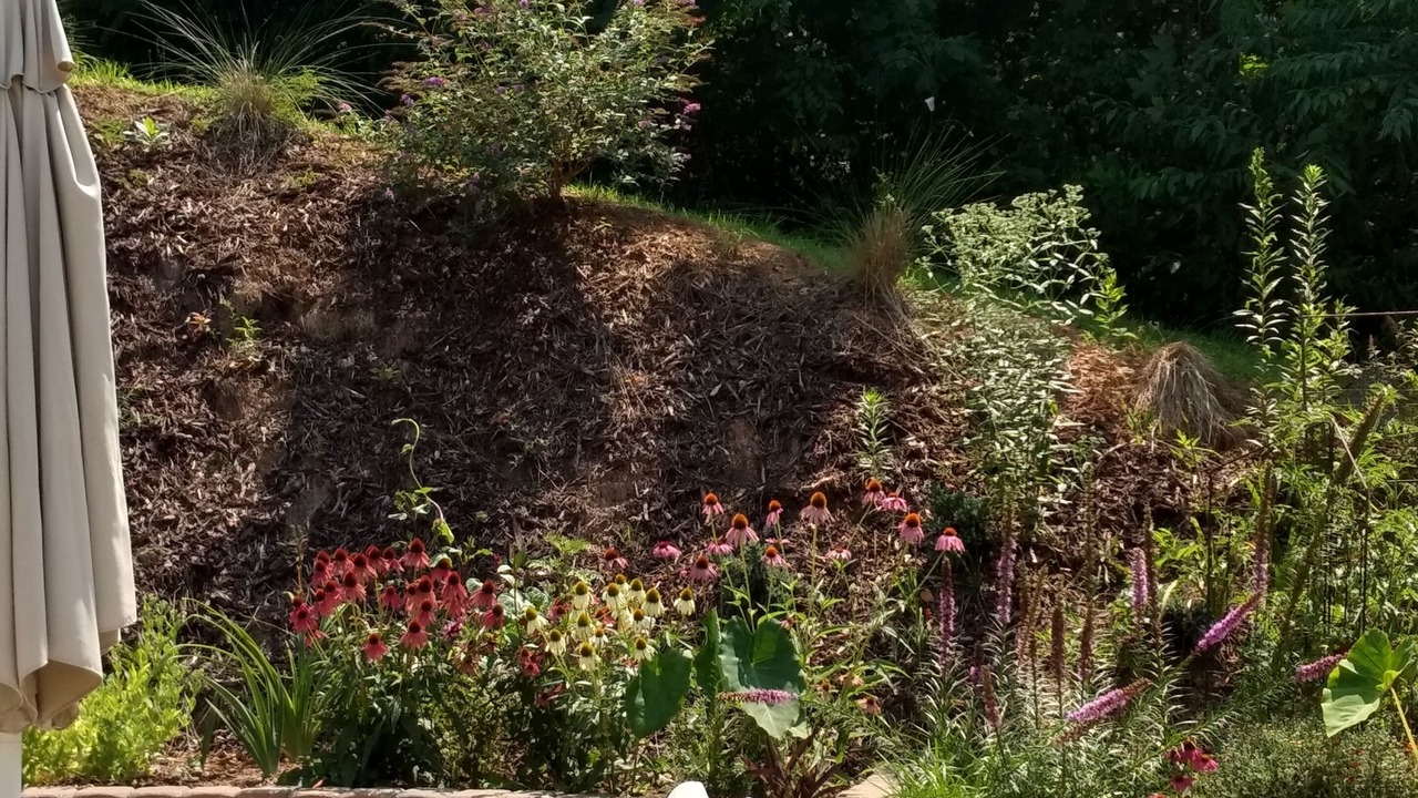Photo of Outdoor in Sylva