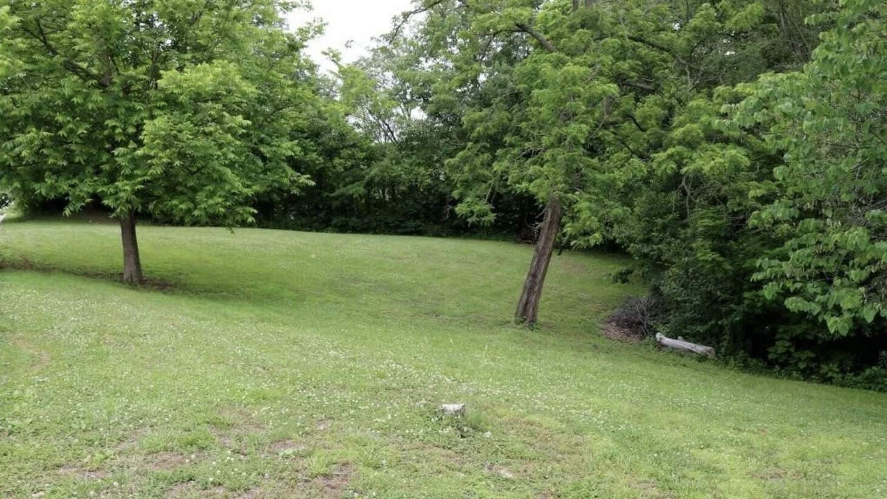 Photo of Others in Hermann