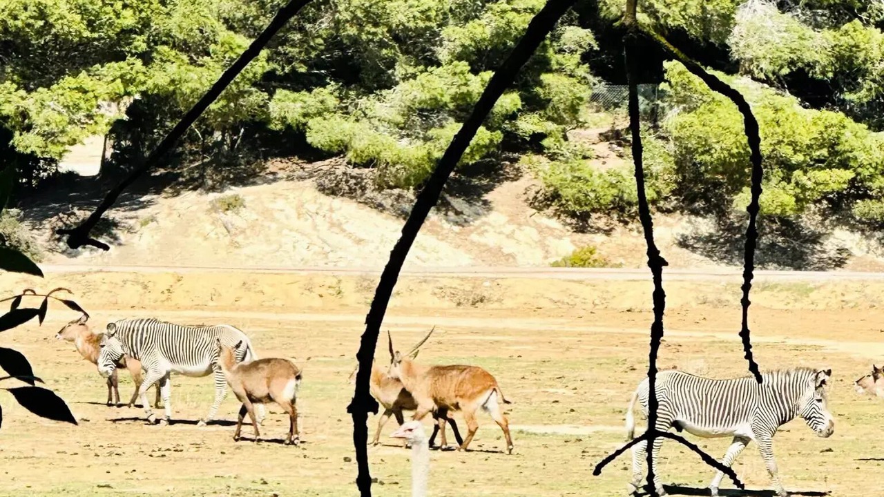 Photo of Others in Sigean