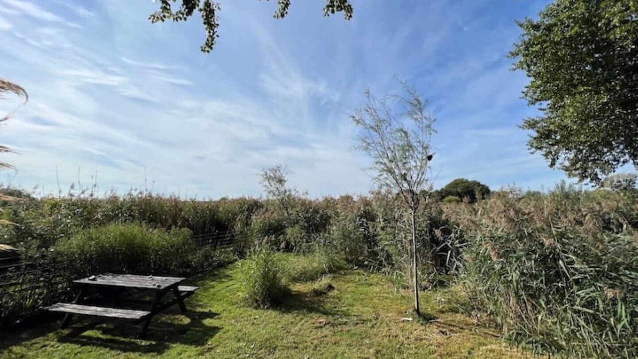 Photo of Outdoor in Mudeford