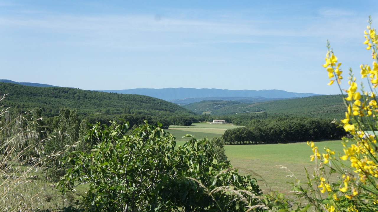 Photo of Others in Banon