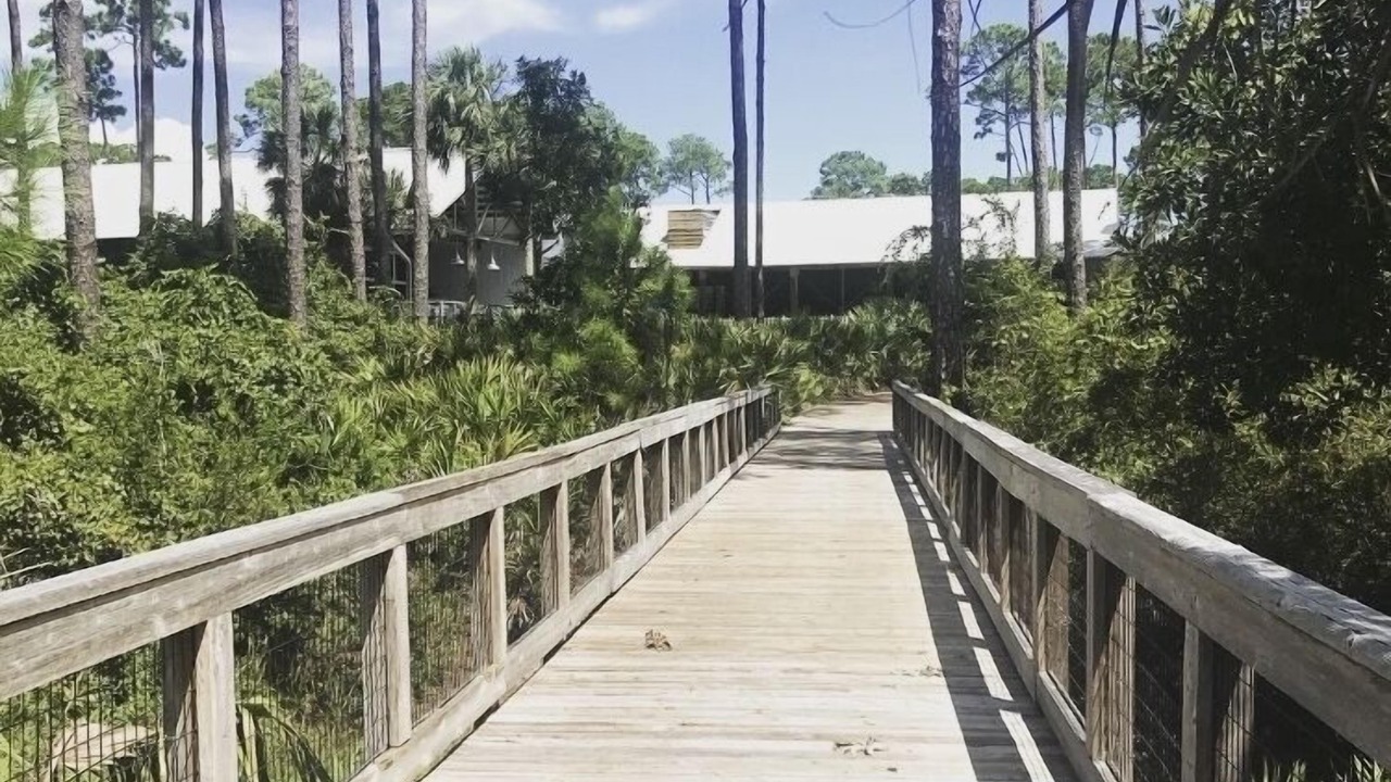 Photo of Outdoor in Carrabelle