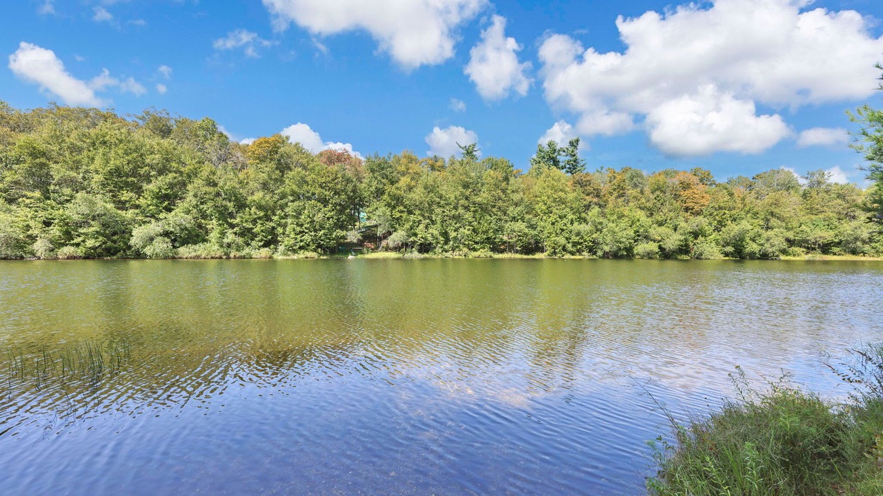 Photo of Others in Tolland