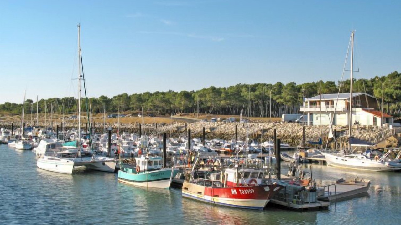 Photo of Others in Arvert