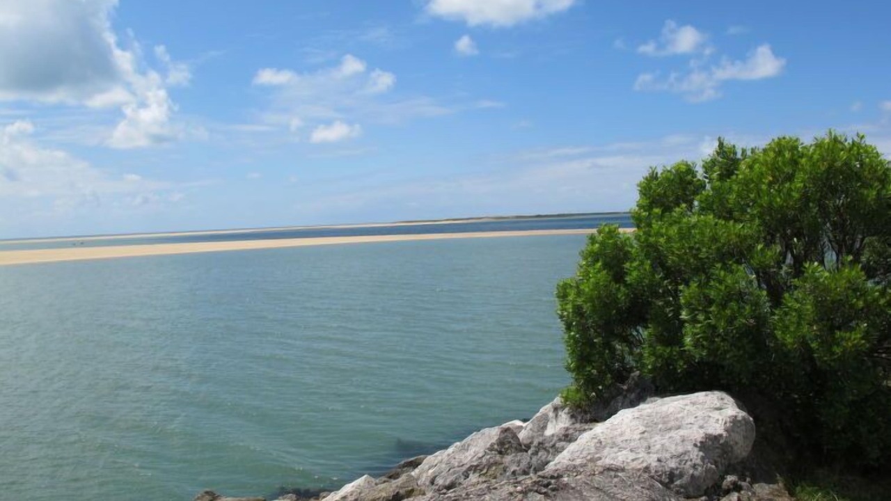 Photo of Others in Arvert