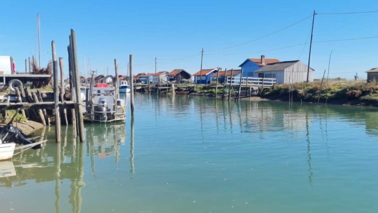 Photo of Others in Arvert