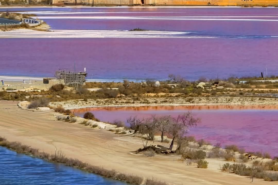 Photo of Others in Rousson