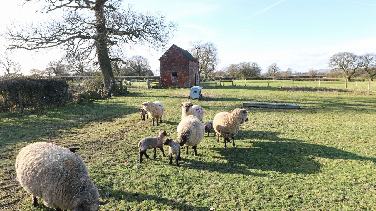 Photo of Others in Calwich