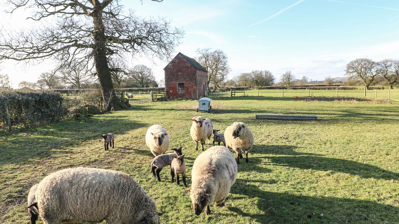 Photo of Others in Calwich