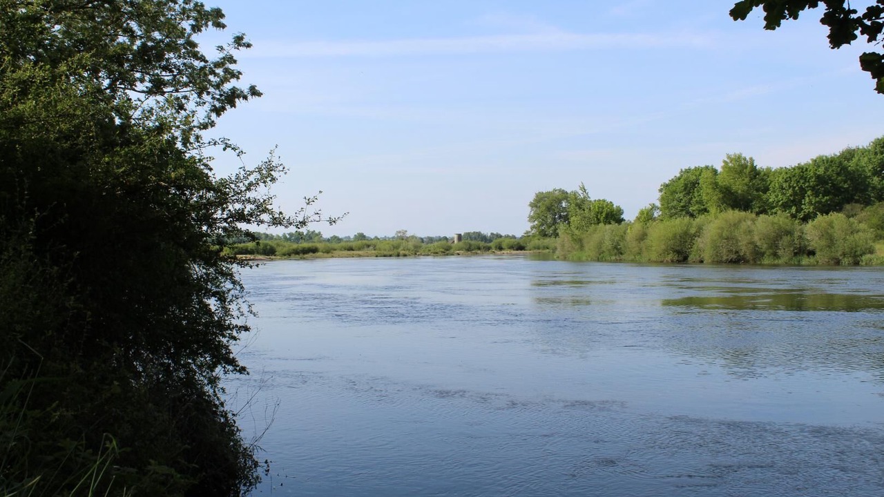 Photo of Others in Perrigny-sur-Loire