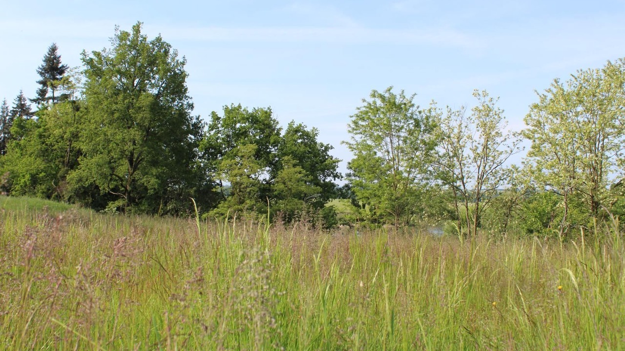 Photo of Others in Perrigny-sur-Loire