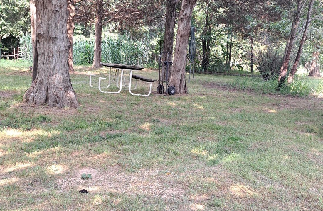 Photo of Outdoor in Seligman
