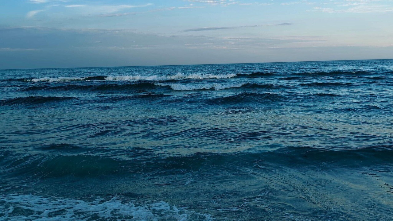 Photo of Others in Elsegarde Strand