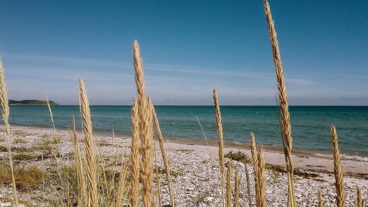 Photo of Others in Elsegarde Strand