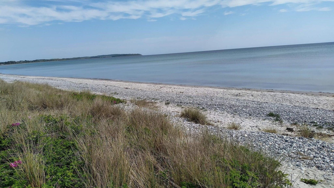 Photo of Others in Elsegarde Strand