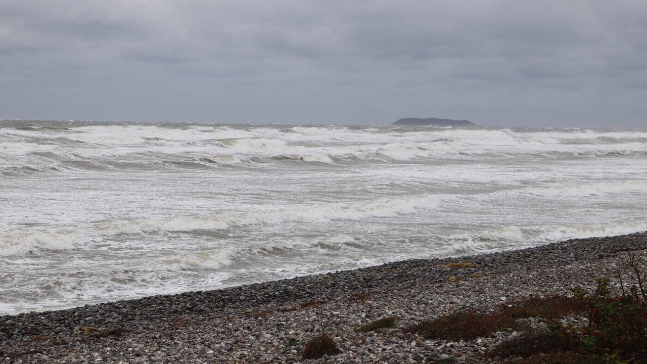 Photo of Others in Elsegarde Strand