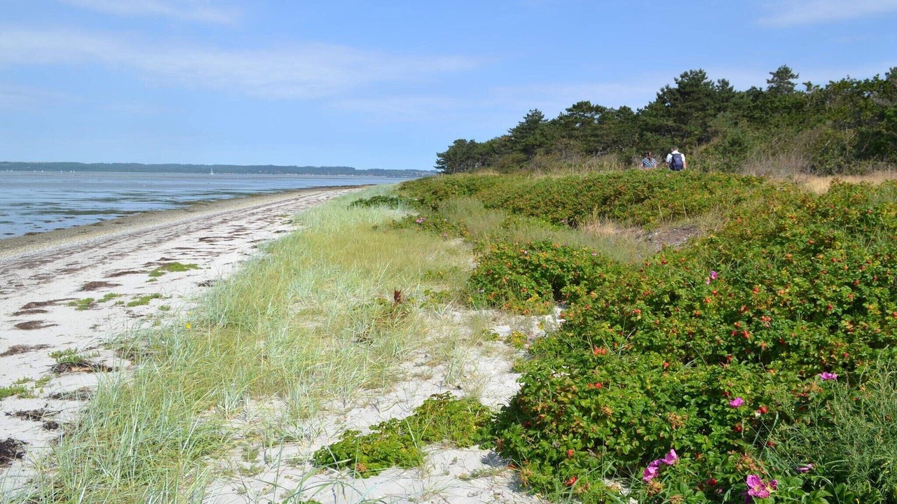 Photo of Others in Elsegarde Strand