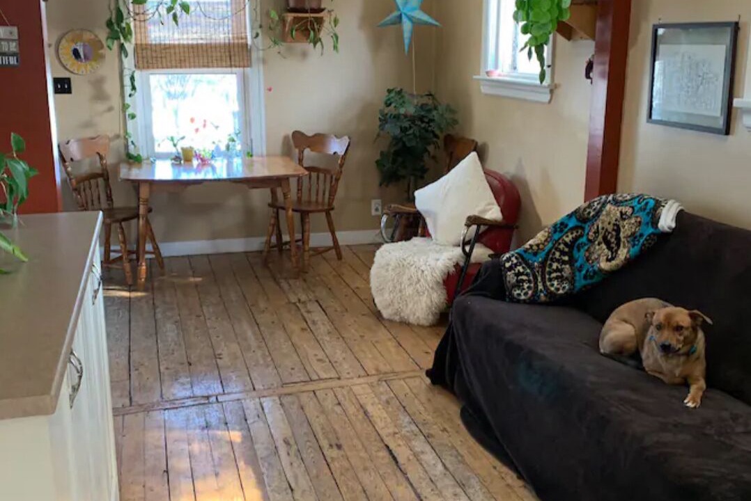 Photo of Livingroom in Lower Sackville