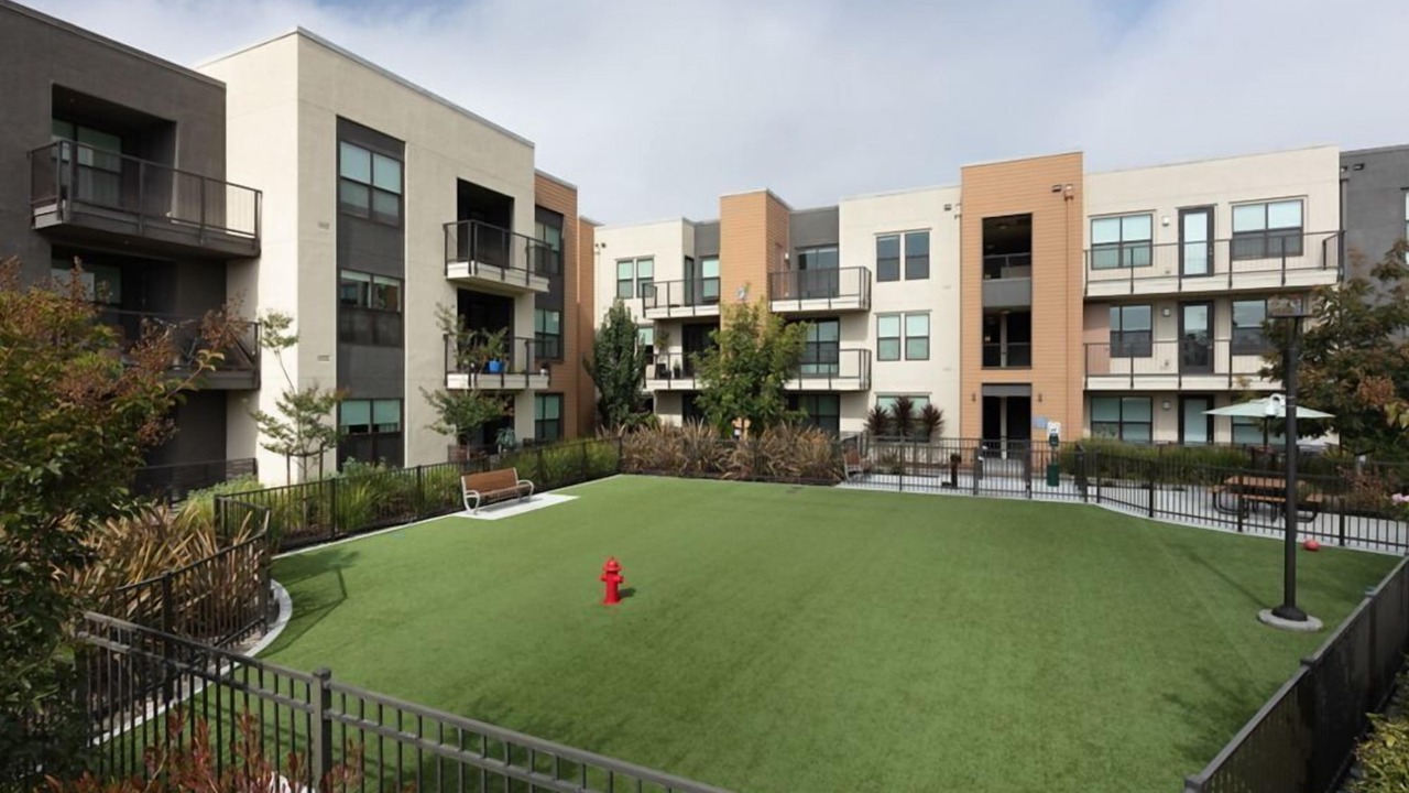 Photo of Others in Menlo Park