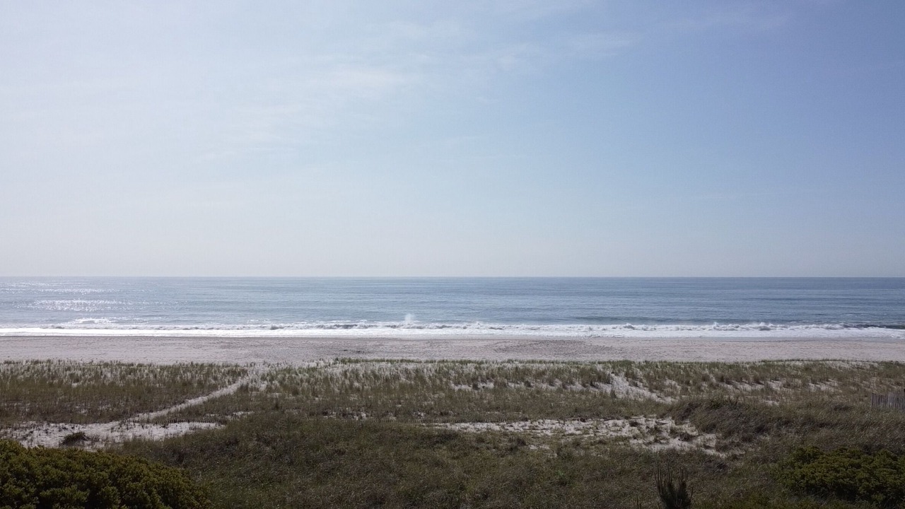 Photo of Others in Loveladies