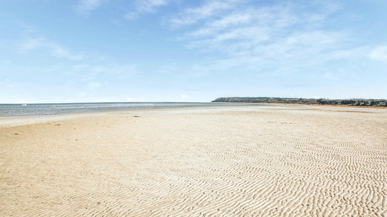 Photo of Others in Bønnerup Strand