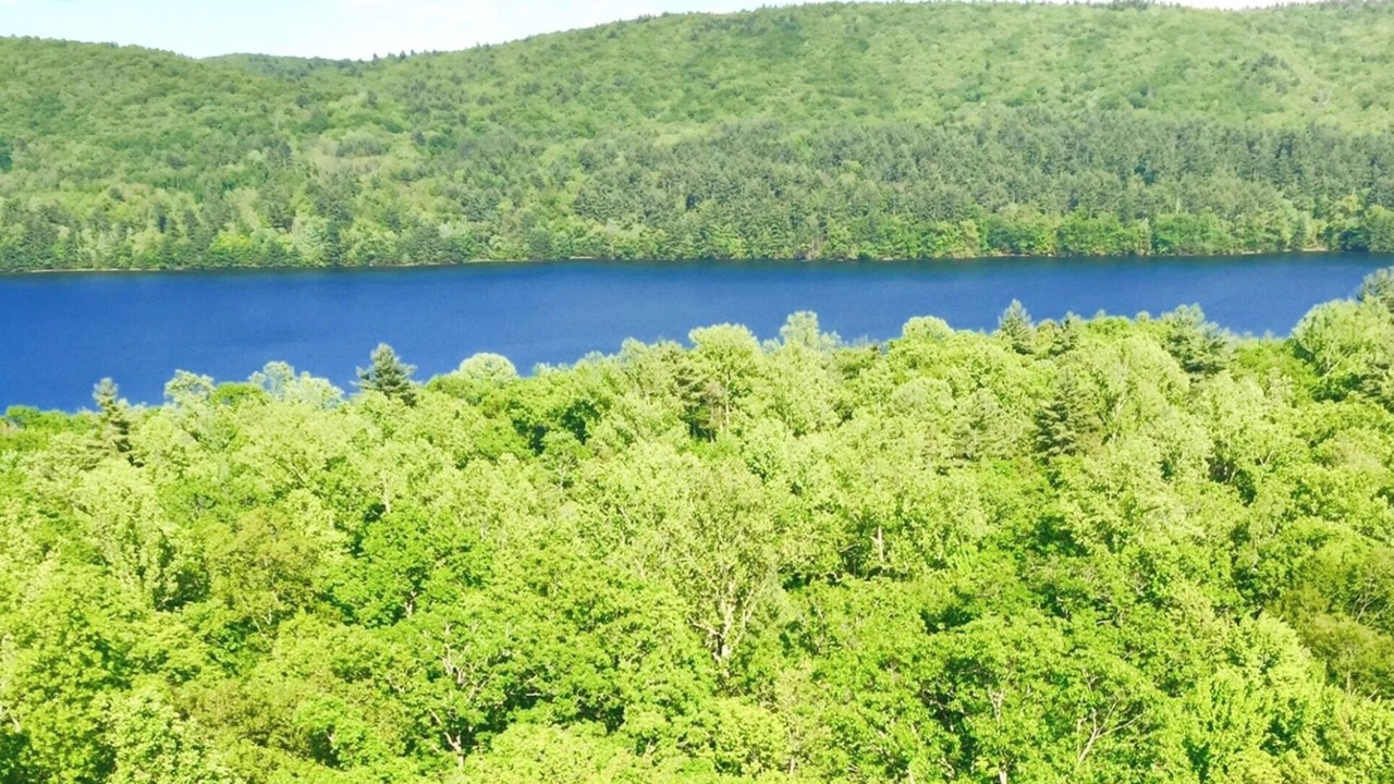 Photo of Others in Winchester