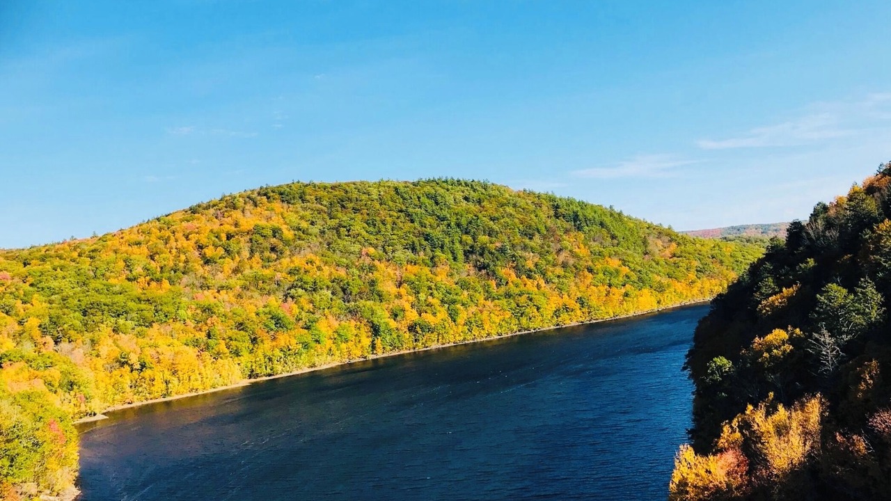 Photo of Others in Winchester