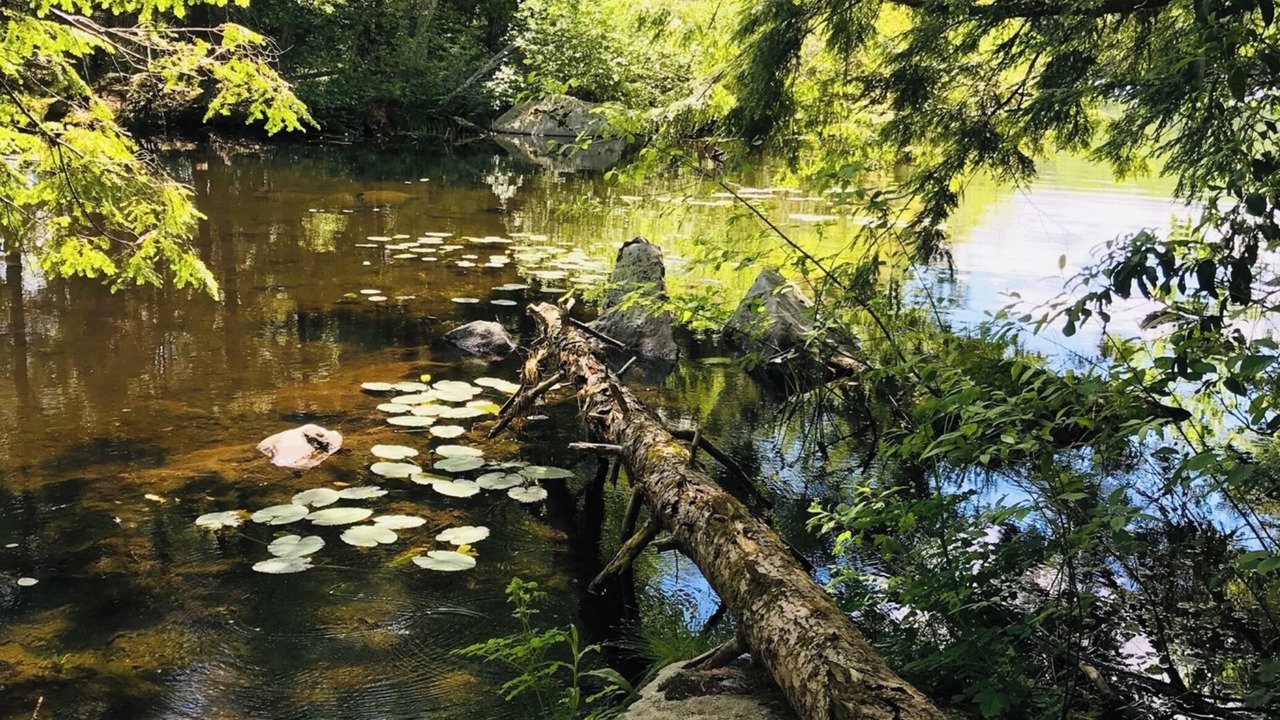 Photo of Others in Winchester