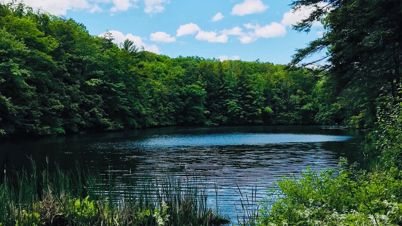 Photo of Others in Winchester