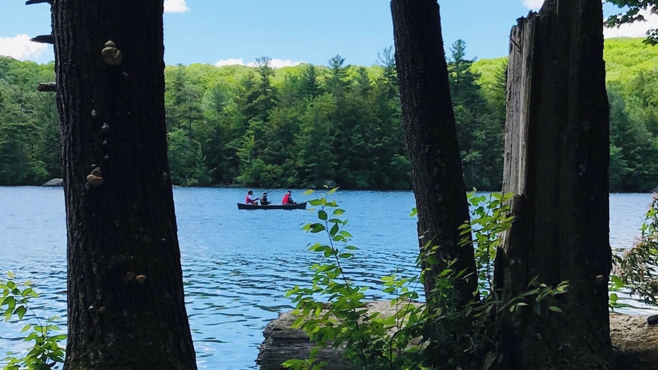 Photo of Others in Winchester