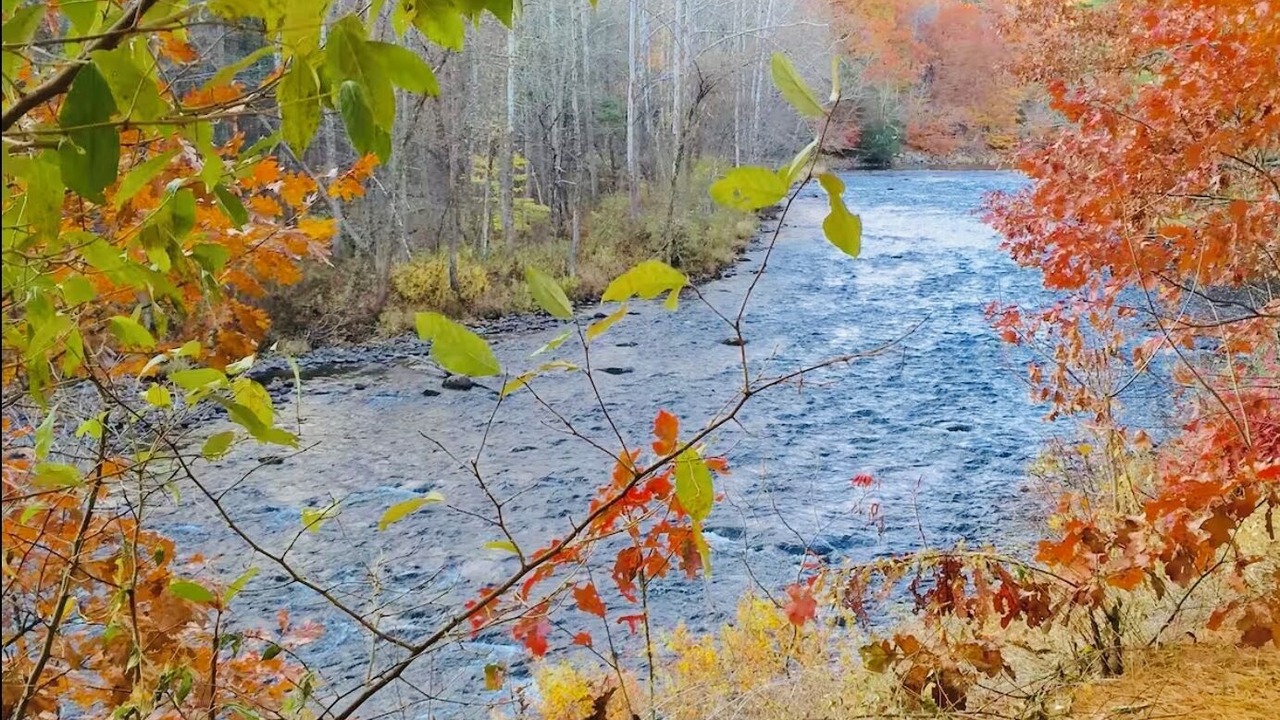 Photo of Others in Winchester