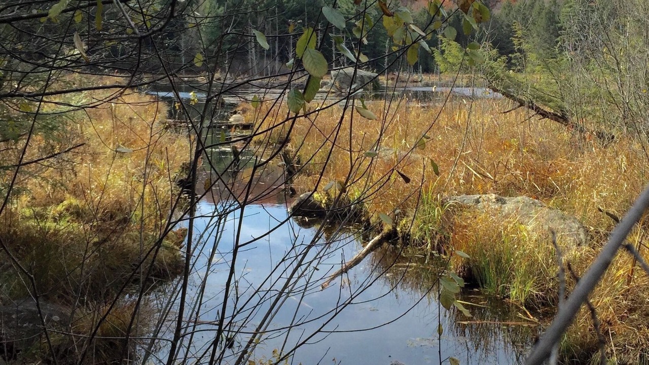 Photo of Outdoor in Winchester